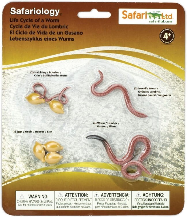 Safari Ltd -  Cykl życia dżdżownicy 664016